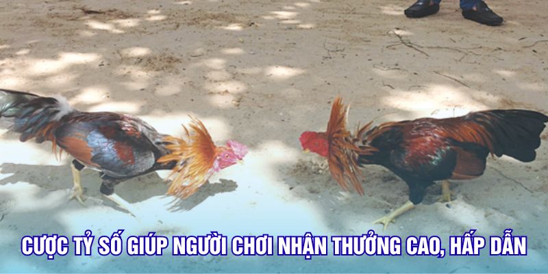 Cược tỷ số giúp người chơi nhận thưởng cao, hấp dẫn