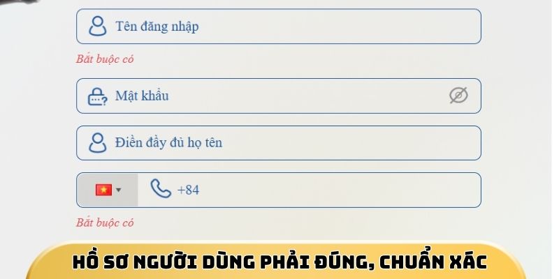 Hồ sơ người dùng phải được cung cấp đúng, chuẩn xác