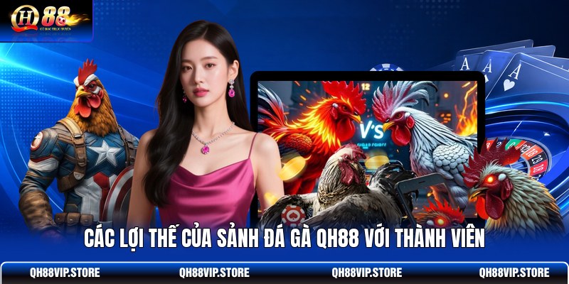 Các lợi thế của sảnh đá gà QH88 với thành viên