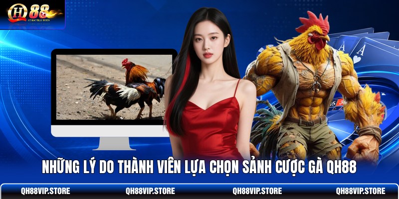 Những lý do thành viên lựa chọn sảnh cược gà QH88