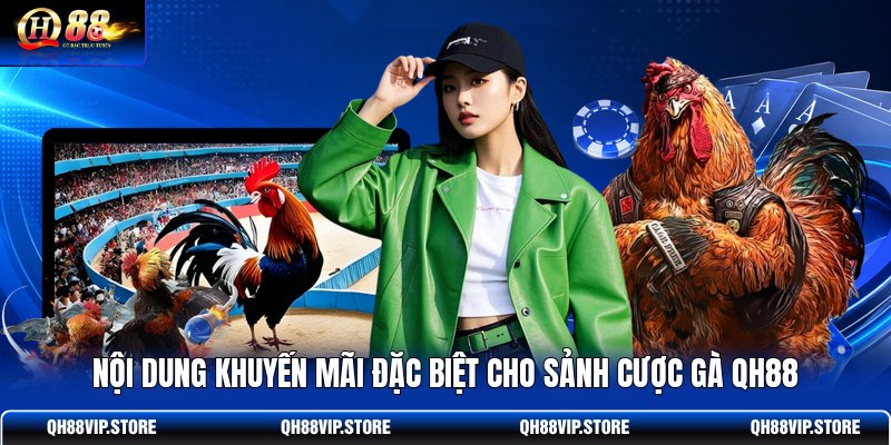 Nội dung khuyến mãi đặc biệt cho sảnh cược gà QH88